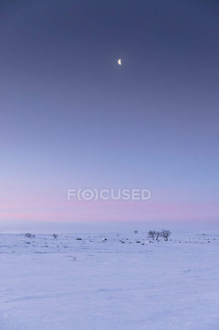 Snow covered landscape at sunset in Rogen Nature Reserve, Sweden — Stock Photo