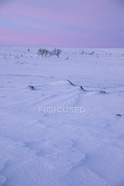 Paisaje cubierto de nieve al atardecer en la Reserva Natural Rogen, Suecia - foto de stock