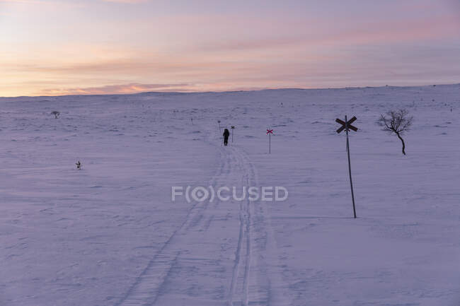 Woman cross-country skiing at sunset in Rogen Nature Reserve, Sweden — Stock Photo