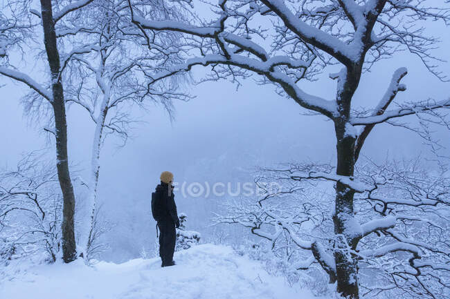 Frau im schneebedeckten Wald im Soderasen Nationalpark, Schweden — Stockfoto
