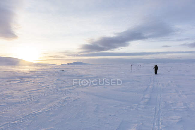 Woman cross-country skiing at sunset in Rogen Nature Reserve, Sweden — Stock Photo