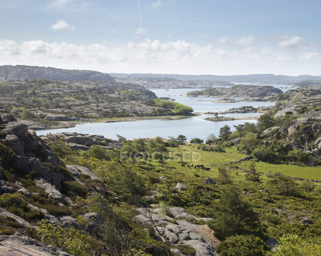 Hügel und Fluss im Naturschutzgebiet Veddoarkipelagens in Schweden — Stockfoto