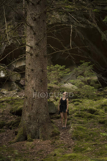 Молода жінка стоїть на дереві в лісі — стокове фото