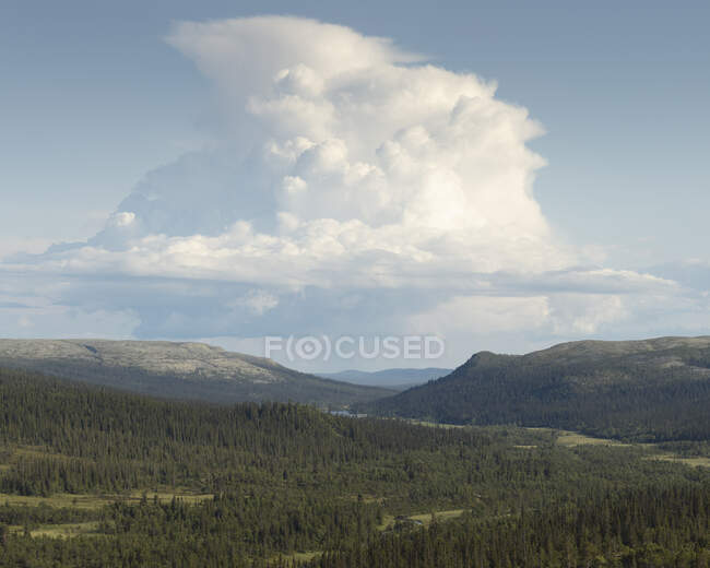 Nubes sobre la montaña en la reserva natural Drevfjallen en Suecia - foto de stock