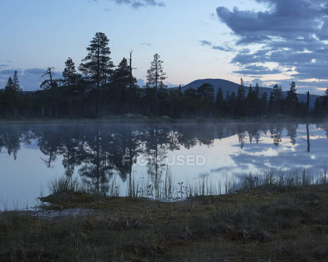 Lago y bosque en la Reserva Natural de Drevfjallen, Suecia - foto de stock