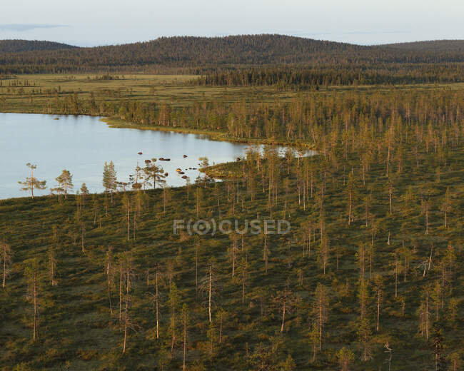 Lago Muttoslippai no Parque Nacional Muddus, Suécia — Fotografia de Stock