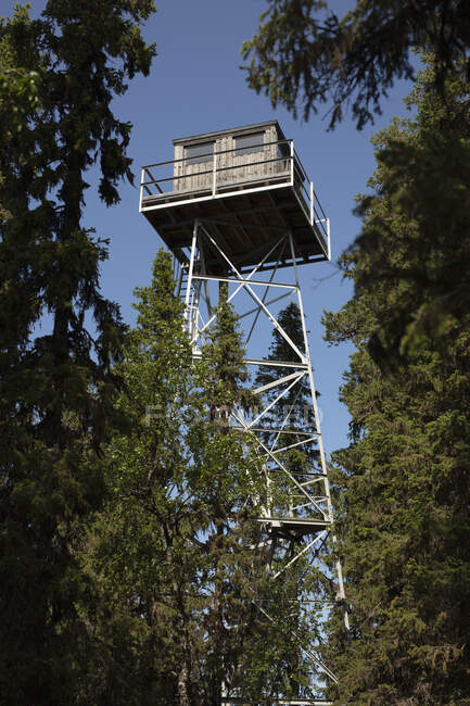 Low angle view of watchtower in forest — Stock Photo