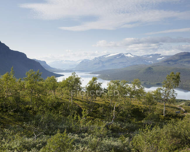 Parque Nacional Stora Sjofallet en Laponia, Suecia - foto de stock