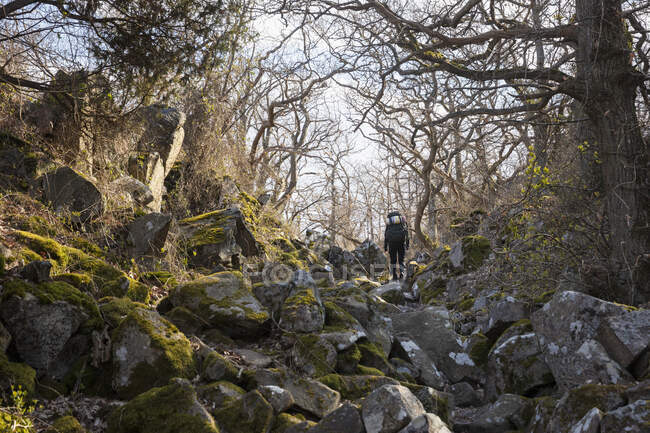 Jeune femme randonnée sur les rochers en forêt — Photo de stock
