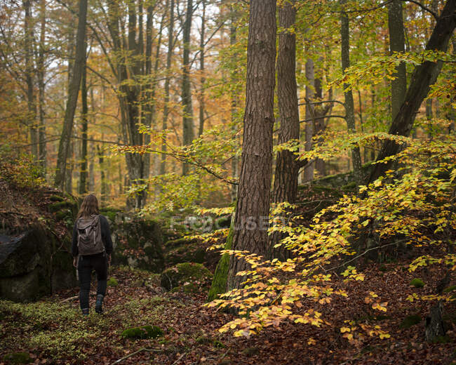 Giovane donna a piedi nella foresta autunnale — Foto stock