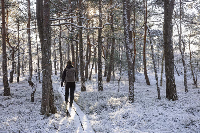 Young woman hiking in snowy forest — Fotografia de Stock