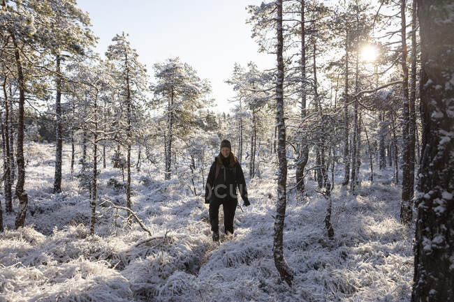 Молода жінка, що ходить у засніженому лісі — стокове фото