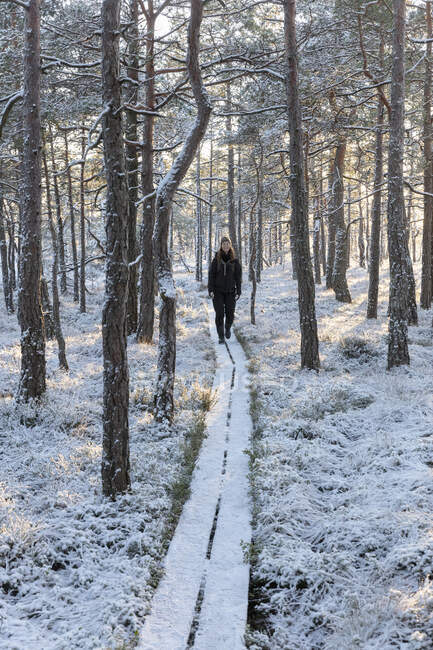 Young woman hiking in snowy forest — Foto stock