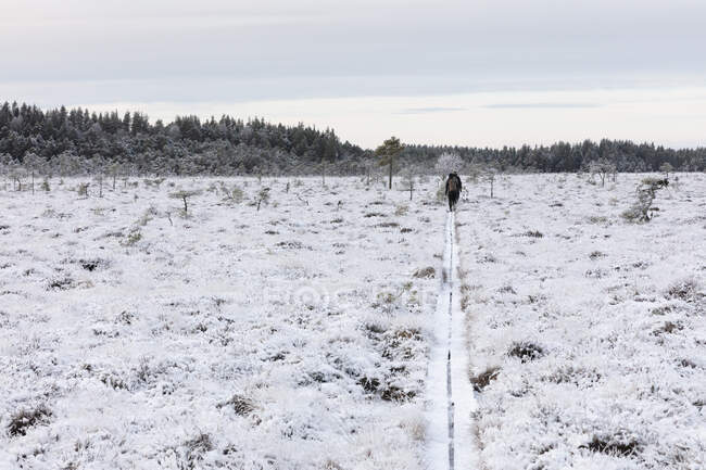 Mann und Frau wandern in verschneitem Feld — Stockfoto