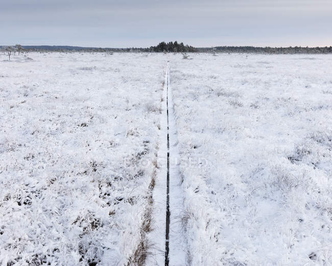 Passeio a pé no campo nevado — Fotografia de Stock