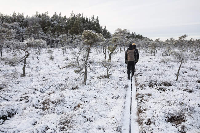 Caminhadas de homem e mulher no campo nevado — Fotografia de Stock