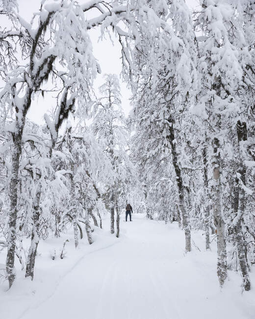 Jovem esquiando na floresta na neve — Fotografia de Stock
