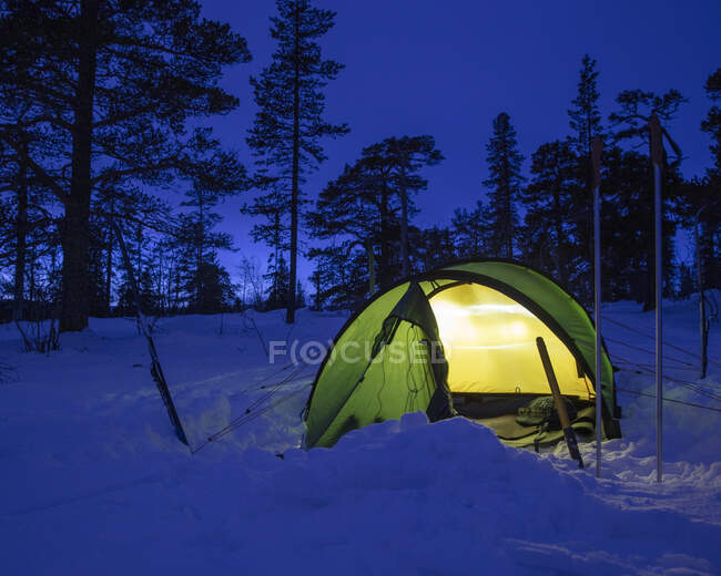 Просветленная палатка в снежном лесу ночью — стоковое фото