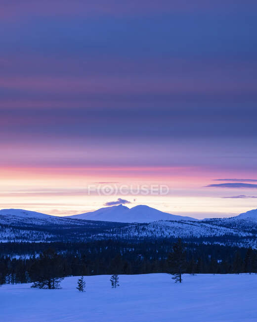 Ліс і гори в снігу на заході сонця — стокове фото
