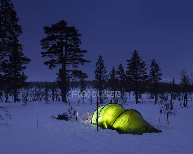 Tenda iluminada na floresta nevada à noite — Fotografia de Stock