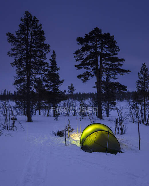 Tienda iluminada en el bosque nevado por la noche - foto de stock