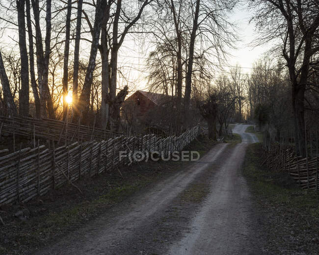 Estrada rural por árvores e celeiro — Fotografia de Stock