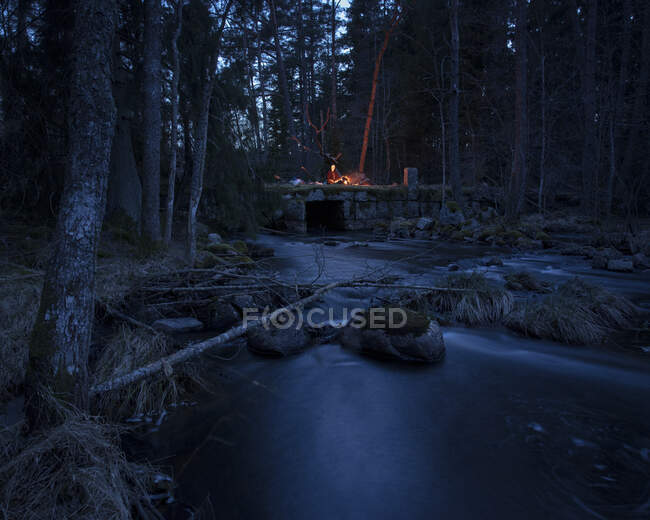 Молодая женщина сидит у костра в лесу ночью — стоковое фото