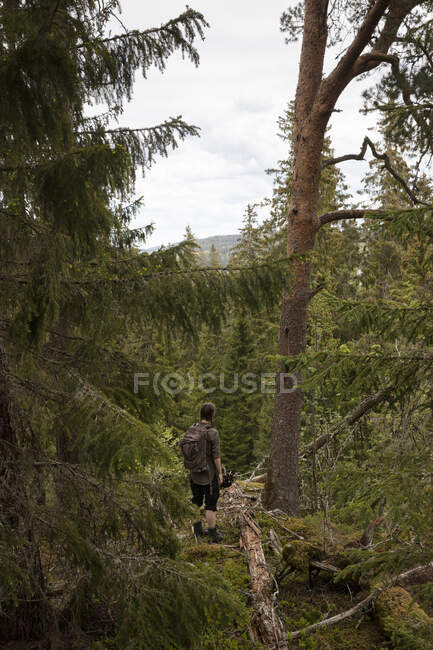 Jovem mulher caminhadas na floresta — Fotografia de Stock