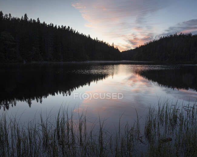 Silhouette de forêt au bord du lac au coucher du soleil — Photo de stock