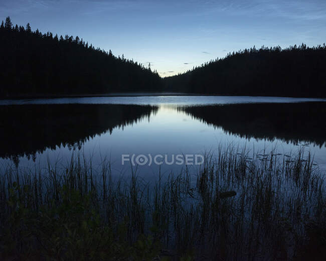 Silhouette de forêt au bord du lac au coucher du soleil — Photo de stock