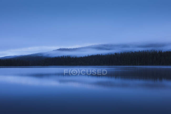 Forest in fog by lake at sunset — Stock Photo