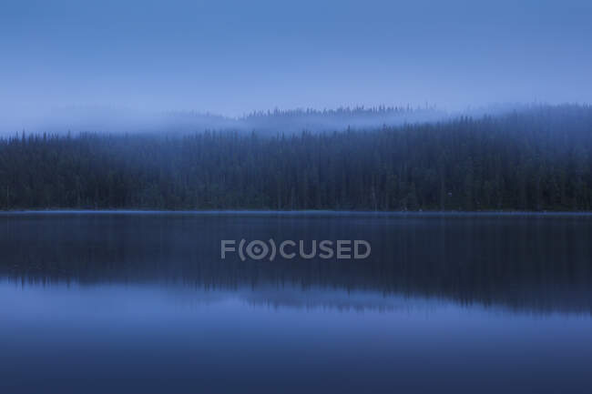 Forest in fog by lake at sunset — Stock Photo