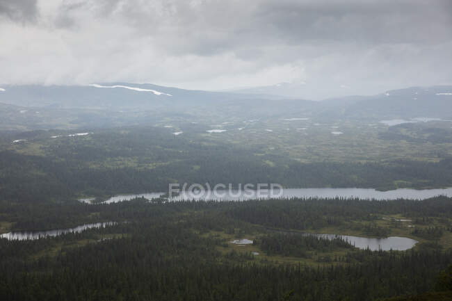 Panoramic view of forest by lakes — Stock Photo