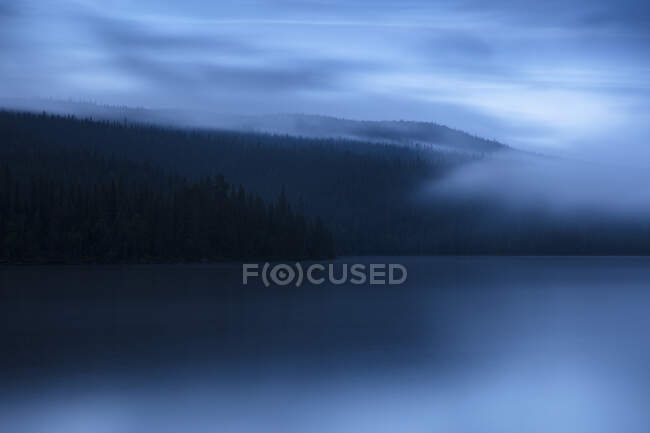 Forêt dans le brouillard près du lac au coucher du soleil — Photo de stock