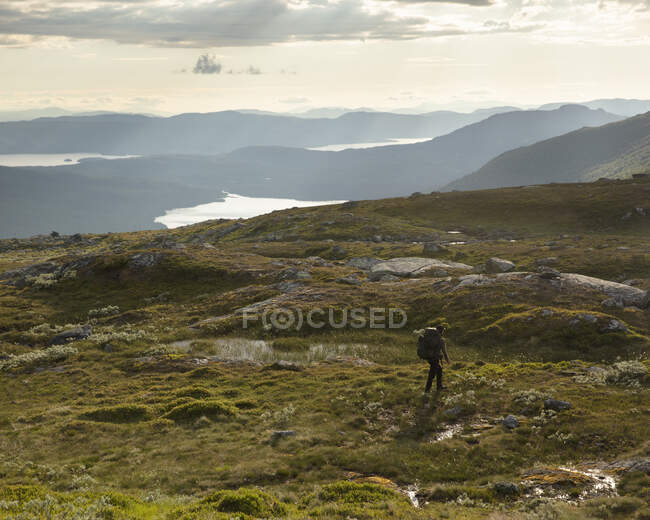 Young woman hiking in field by mountains — Stock Photo