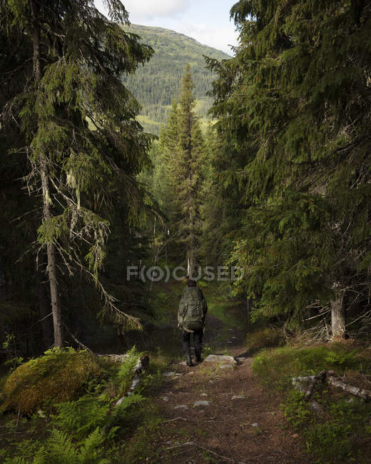 Молода жінка, що гуляє в лісі — стокове фото