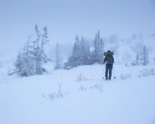 Jovem mulher caminhando na neve — Fotografia de Stock