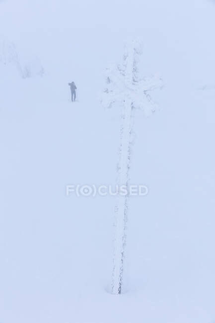 Señal de sendero y mujer caminando en la nieve - foto de stock