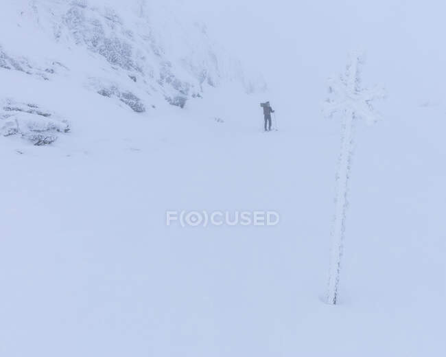 Sinal de trilha e mulher andando na neve — Fotografia de Stock