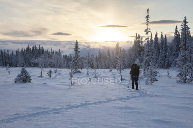Жінка ходить снігом на заході сонця — стокове фото