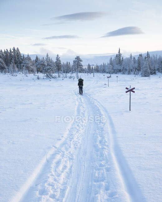 Jeune femme randonnée dans la neige — Photo de stock