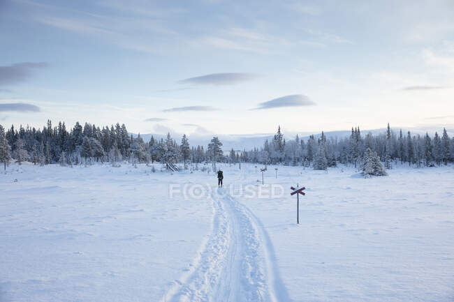 Jeune femme randonnée dans la neige — Photo de stock