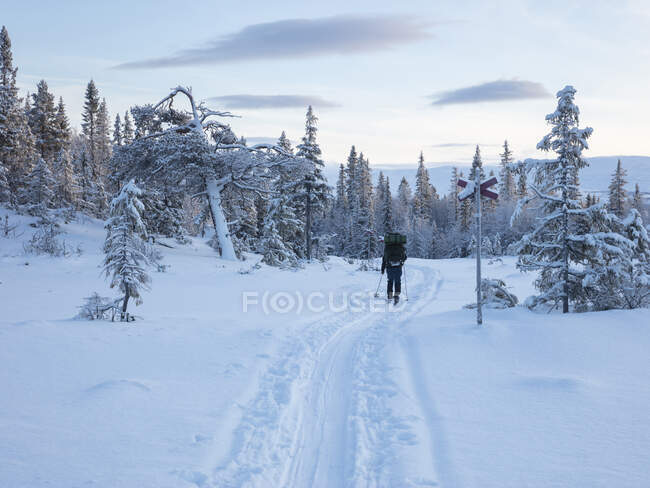 Mujer joven senderismo en la nieve - foto de stock