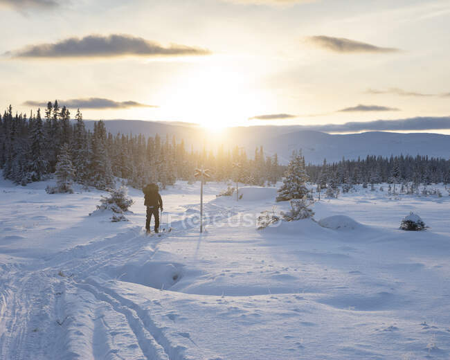 Молодая женщина ходит по снегу — стоковое фото