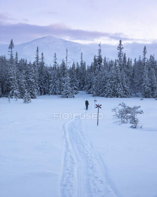 Молода жінка, що йде снігом — стокове фото