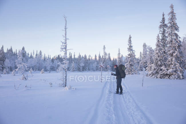 Young woman with hiking poles in snowy field — Stock Photo