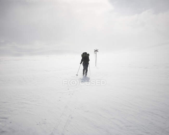 Jeune femme avec des bâtons de randonnée dans un champ enneigé — Photo de stock