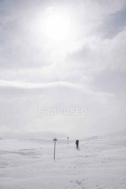 Mujer joven senderismo en la nieve - foto de stock