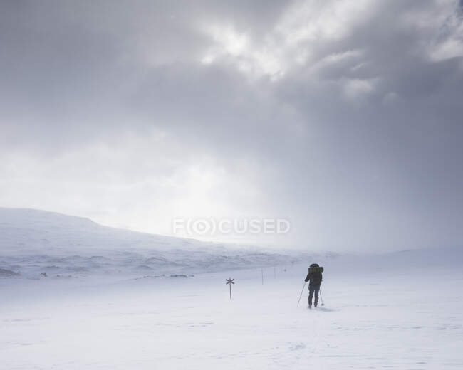 Jeune femme avec des bâtons de randonnée dans un champ enneigé — Photo de stock