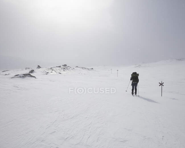 Mujer joven con bastones de senderismo en campo nevado - foto de stock